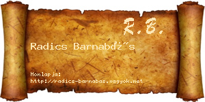 Radics Barnabás névjegykártya